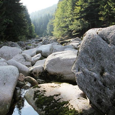 Chata - Sport - Ski Kořenov Dış mekan fotoğraf